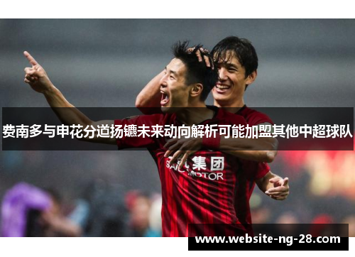 费南多与申花分道扬镳未来动向解析可能加盟其他中超球队 费南多与申花分道扬镳未来动向解析可能加盟其他中超球队