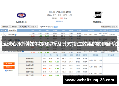 足球心水指数的功能解析及其对投注效果的影响研究